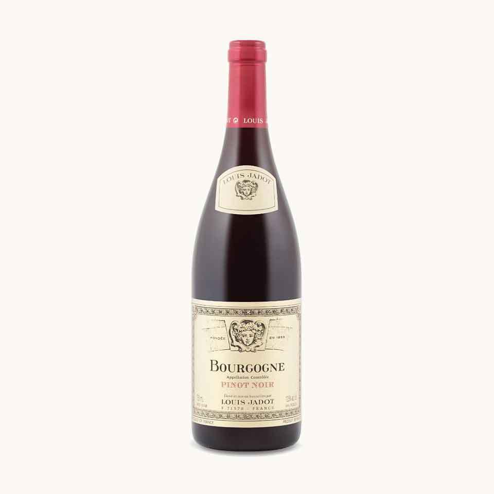 Louis Jadot Bourgogne Pinot Noir Lcbo Wine